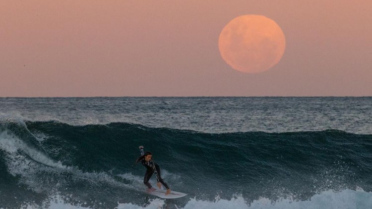 SYDNEY, AUSTRALIA - MAY 26: A surfer rides a wave as a super blood moon rises above the horizon at Manly Beach on May 26, 2021 in Sydney, Australia. It is the first total lunar eclipse in more than two years, which coincides with a supermoon.  A super moon is a name given to a full (or new) moon that occurs when the moon is in perigee - or closest to the earth - and it is the moon's proximity to earth that results in its brighter and bigger appearance. (Photo by Cameron Spencer/Getty Images)