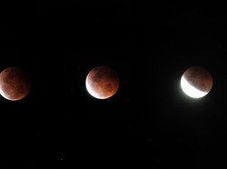 Gerhana Bulan Total 8 November di Mana Saja? Ini Wilayah dan Jadwalnya