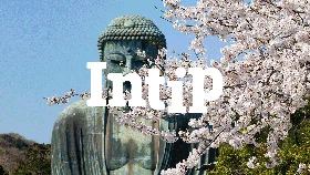 INTIP: 10 Patung Buddha Terunik di Dunia