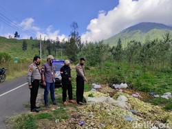 Duh, Kobis Busuk Bikin Jalan ke Kawah Ijen Bau Tak Sedap