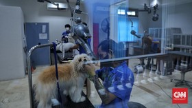 FOTO: Salon Kecantikan Anjing-anjing Metropolitan