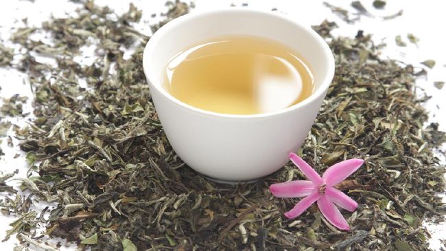 White Tea, Teh Putih Premium Indonesia Tinggi Antioksidan