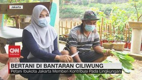VIDEO: Bertani di Bantaran Ciliwung