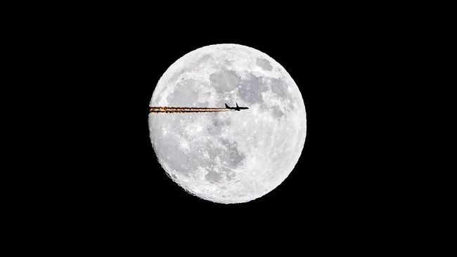 Moon World Resorts (MWR) menyebut, nantinya resor super mewah ini akan dinamai Moon Dubai dan dapat menampung 10 juta pengunjung setiap tahunnya.