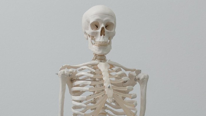 Fakta-Fakta Seputar Skoliosis, Deteksi Sebelum Terlambat!