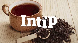 INTIP: 7 Jenis Teh Herbal dan Khasiatnya