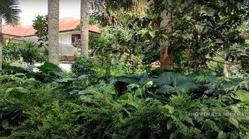 SUASANA MENCEKAM DI RUMAH KOSONG