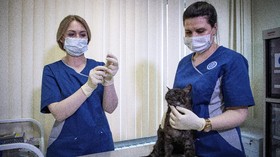 FOTO: Rusia Mulai Suntik Vaksin Covid ke Hewan Peliharaan