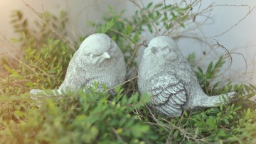 SIMBOL BURUNG HINGGA SIMBOL KELELAWAR