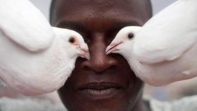 FOTO: Ternak Merpati, Pelarian Warga Kuba saat Pandemi
