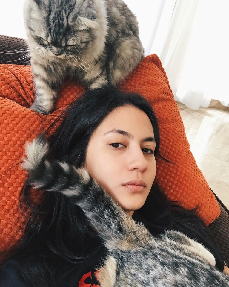 Berikut inilah para artis dengan kucing mahalnya