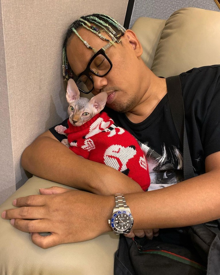 7 Artis dan Kucing Mahalnya Berikut inilah para artis dengan kucing mahalnya