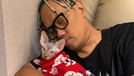 7 Artis dan Kucing Mahalnya Berikut inilah para artis dengan kucing mahalnya