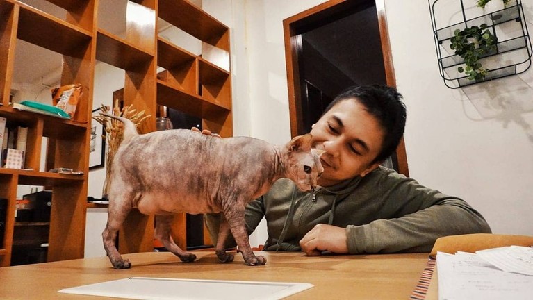 7 Artis dan Kucing Mahalnya Berikut inilah para artis dengan kucing mahalnya