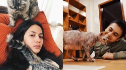 7 Artis dan Kucing Mahalnya, Ada yang Seharga Mobil!