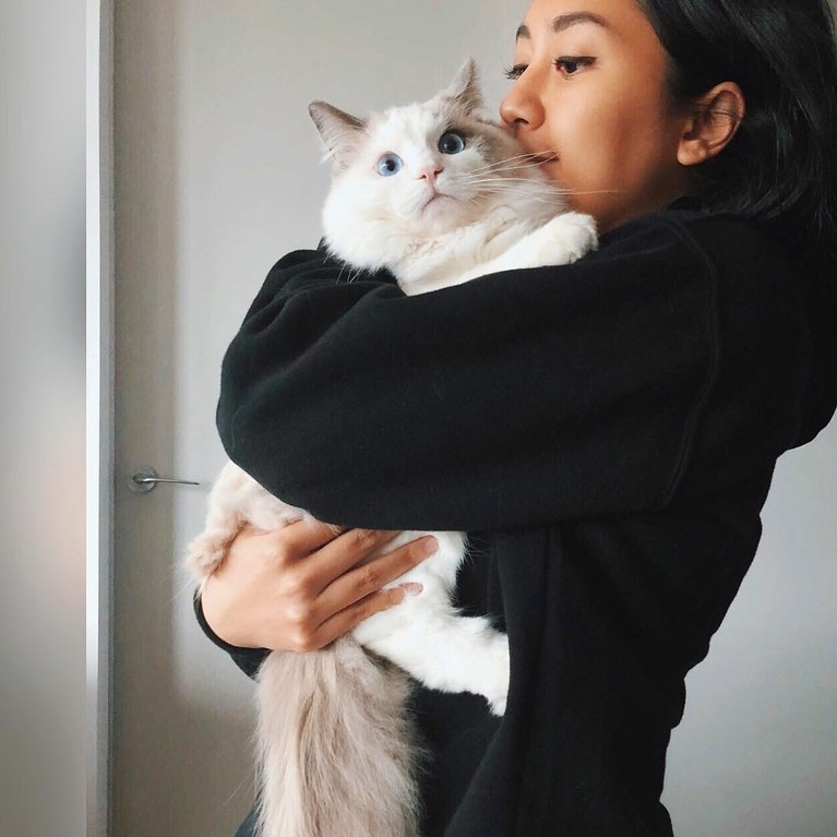 7 Artis dan Kucing Mahalnya Berikut inilah para artis dengan kucing mahalnya