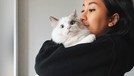 7 Artis dan Kucing Mahalnya Berikut inilah para artis dengan kucing mahalnya