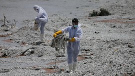 Sampah Plastik Tumpah, Pencemaran Terburuk di Sri Lanka