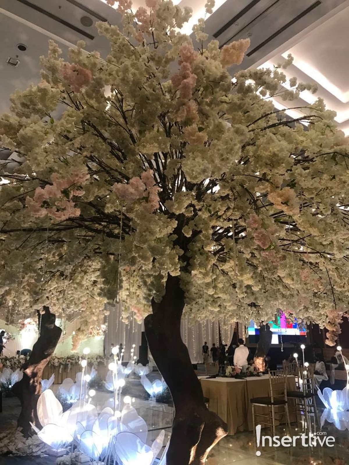 Pernikahan Ifan Seventeen dan Citra Monica