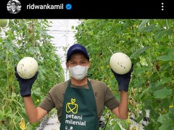 Buntut Panjang Polemik Petani Milenial dan Janji Pemprov Jabar Lunasi Utang