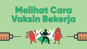 INFOGRAFIS: Melihat Cara Vaksin Bekerja