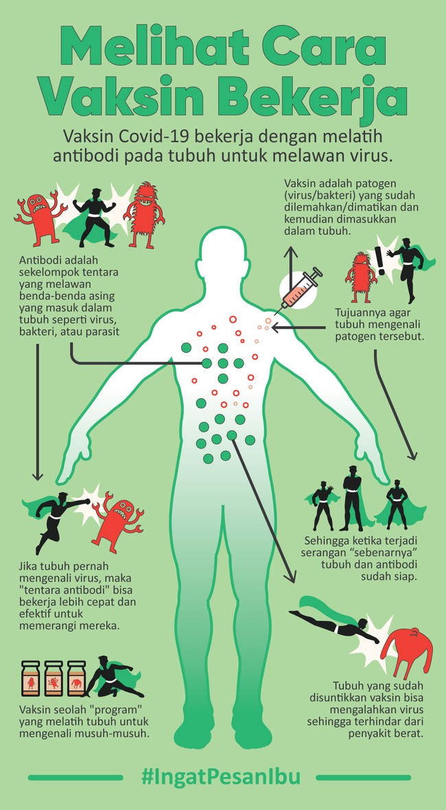 Vaksin Covid-19 bekerja dengan melatih antibodi pada tubuh untuk melawan virus.