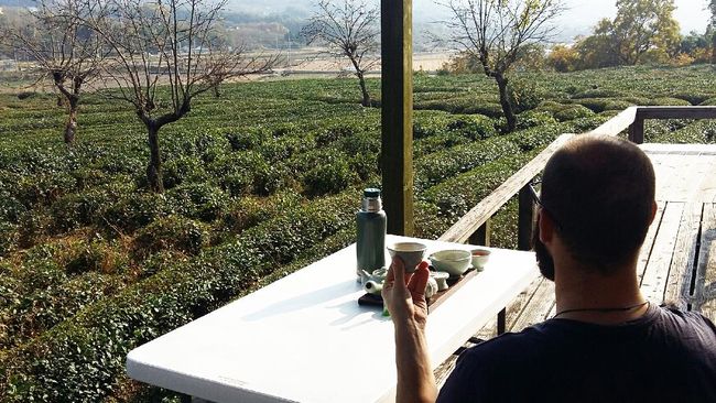 Korea Selatan memiliki banyak kebun teh yang menjadi tempat wisata. Berikut tujuh rekomendasi wisata kebun teh di Korea Selatan.