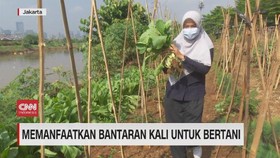 VIDEO: Memanfaatkan Bantaran Kali Untuk Bertani
