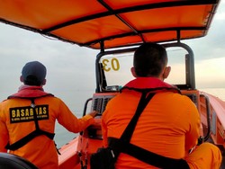Sudah Dua Hari, Tim SAR Cari ABK KM Singa Laut yang Terjatuh di Kalbar
