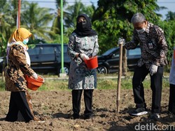 Ada Bantuan 582 Ton Benih Berkualitas Bagi Petani Pangan Banyuwangi
