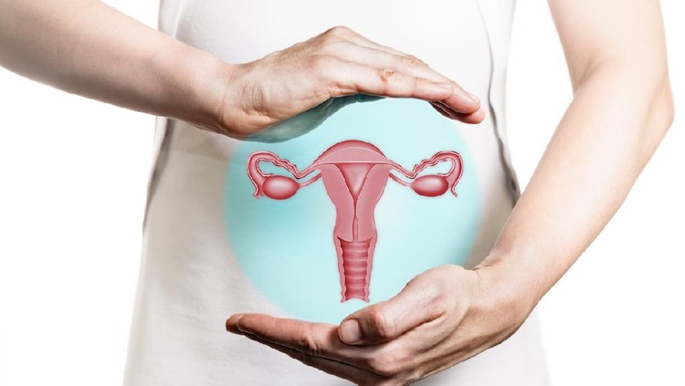 Image of a woman in a white dress and 3d model of the reproductive system of women above her hands. Concept of a healthy female reproductive system.