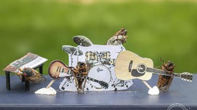 FOTO: Aksi Para Jangkrik, Main Musik hingga Divaksin