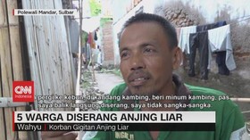 VIDEO: 5 Warga Diserang Anjing Liar