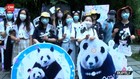VIDEO: Ulang Tahun Panda Dirayakan Meriah