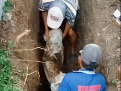Viral Jenazah Ditemukan Masih Utuh Saat Gali Makam di Bojonegoro