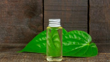 MENGONSUMSI DAUN SIRIH SAAT HAMIL, APAKAH AMAN?
