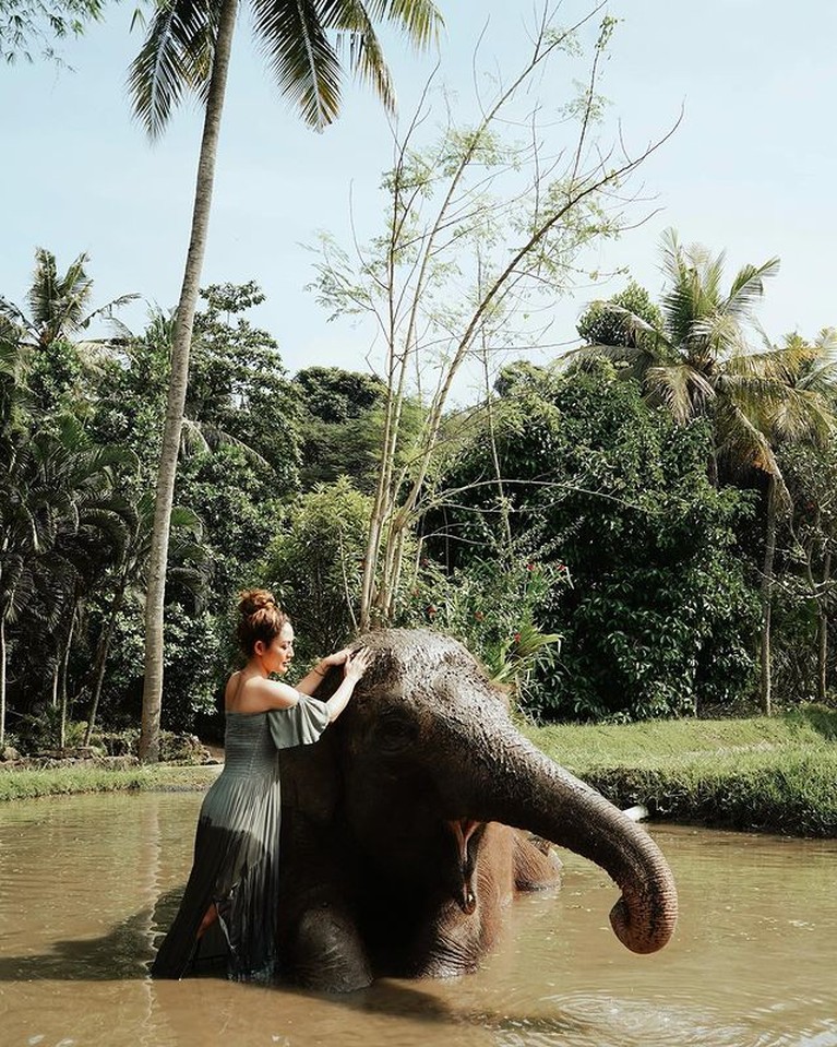Momen Liburan Siti Badriah & Suami di Bali Siti Badriah dan suaminya sedang menikmati liburan di Bali. Yuk kita intip momen keseruan mereka saat liburan!