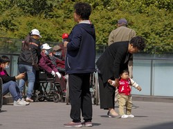 Hong Kong Dihantam Krisis Populasi, Warganya Lebih Pilih Punya Kucing daripada Bayi