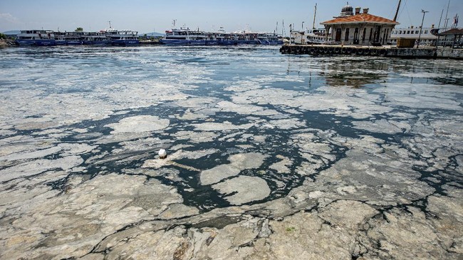 Turki tengah dilanda wabah "ingus laut" yang mengancam ekosistem Laut Marmara dan industri perikanan.