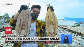 VIDEO: Sehari Menjadi Produsen Ikan Asin Muara Angke