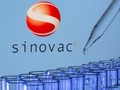 Efektivitas Sinovac: Lawan Sakit Namun Memble di Varian Baru