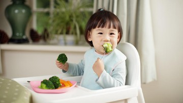 KEBUTUHAN SERAT ANAK SESUAI USIANYA MENURUT AKG