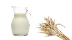 Susu Oat Diklaim Lebih Bernutrisi dan Sehat, Benarkah?