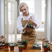 5 Cara Merawat Indoor Plant agar Tak Mudah Layu dan Tetap Subur