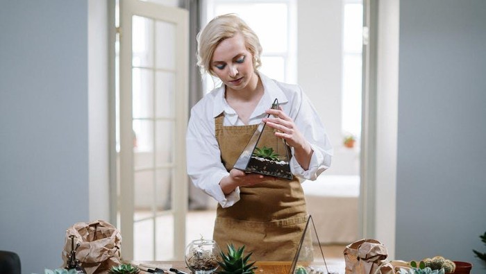 5 Cara Merawat Indoor Plant agar Tak Mudah Layu dan Tetap Subur