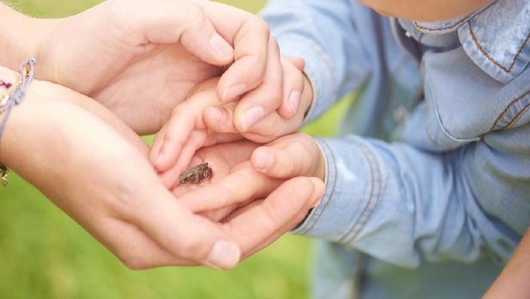 little child showing her mother a tiny frog
