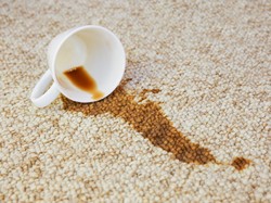 Kopi Tumpah di Karpet Bisa Dibersihkan?
