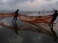 NYALANG: Para Penjaring di Ujung Senja