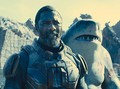 The Suicide Squad Ditaksir Raup Rp430 M di Pekan Pertama