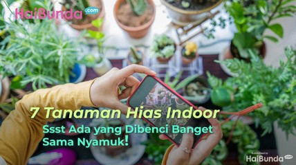 Detik Network